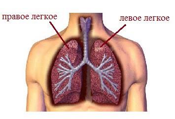 * Картинка может быть подсказкой! Нажмите ПОКАЗАТЬ КАРТИНКИ для того чтобы посмотреть. * Если ссылки не активны нажмите НЕ СПАМ для того, чтобы ответить на вопрос *