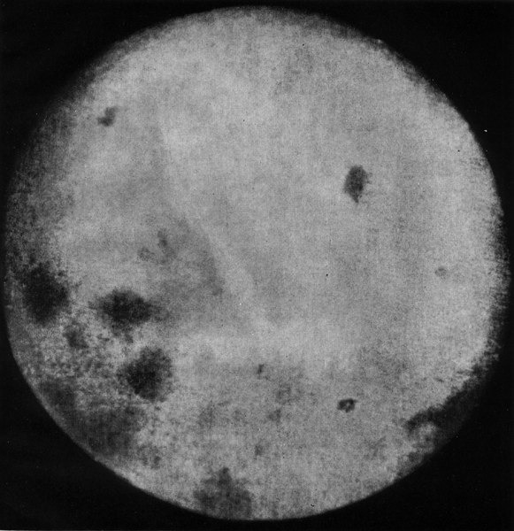 Трофейная фотопленка