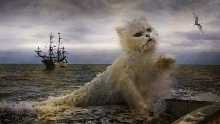 Коты и картины. Невозможно выбрать лучшую!
