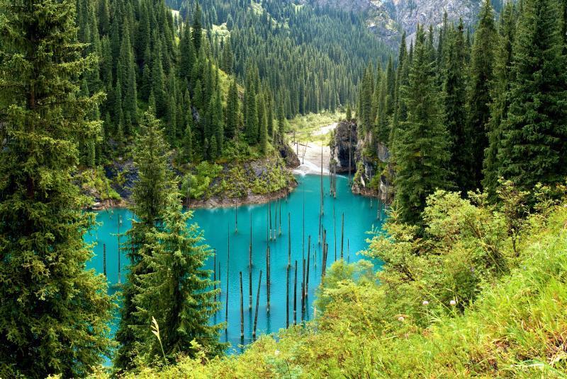 #5 Подводный сосновый лес, Каинды, Казахстан
