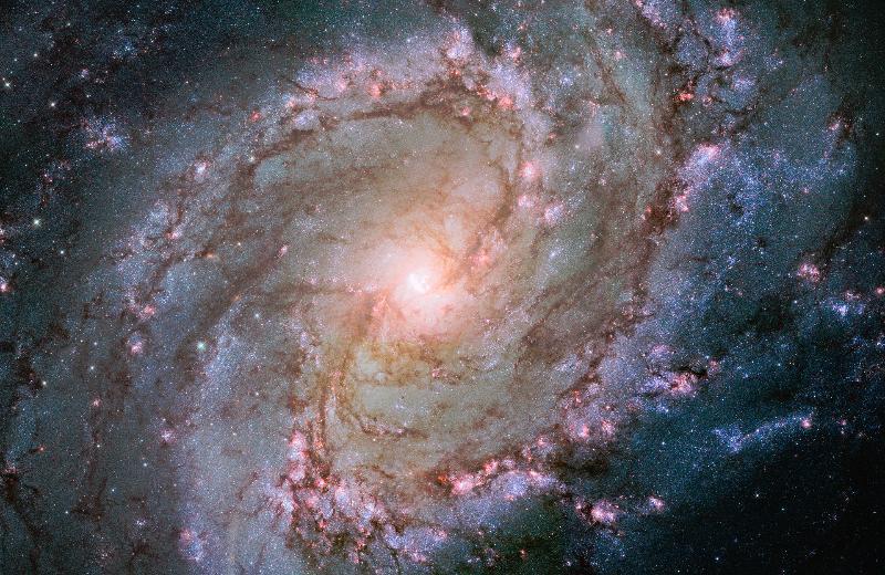 Рождение черной дыры в галактике M83