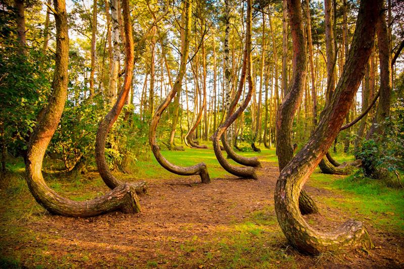 Mysteries of nature - 6 unique phenomena that are beyond our comprehension Mysteries of nature - 6 unique phenomena that are beyond our comprehension