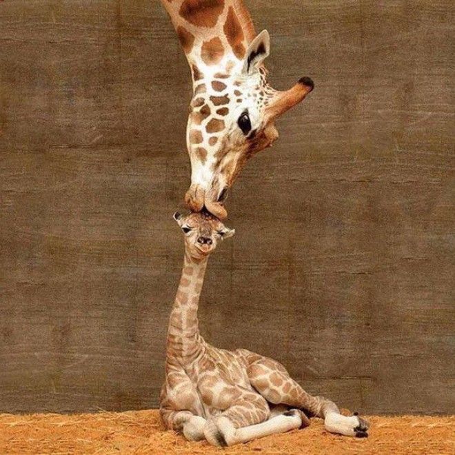 #7 Mother and her child #7 Mother and her child
