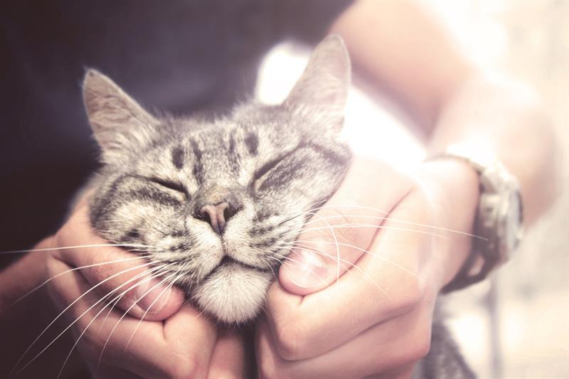 Positive emotions are also a medicine Positive emotions are also a medicine