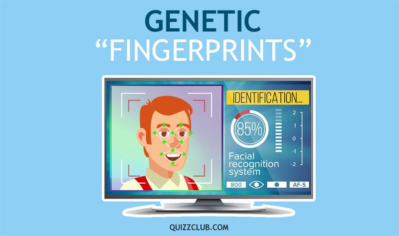 Are there any other means of genetic identification?