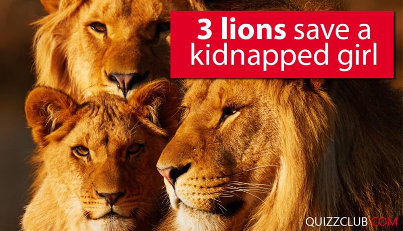 #1 Society Story: 3 lions saves a kidnapped girl