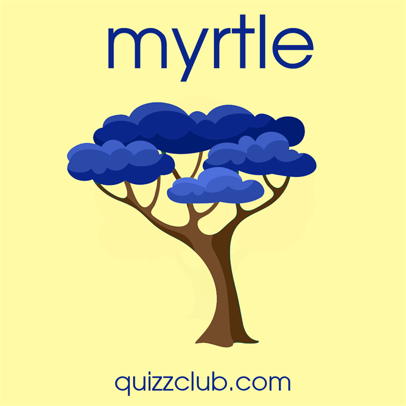 #4 Society Story: Myrtle