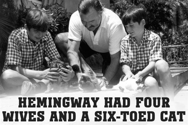 Surprising Facts About Hemingway You Probably Quizzclub