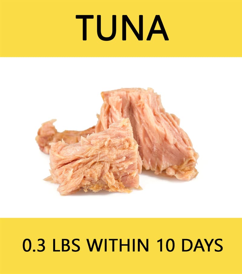 #2 Tuna Science Story: Tuna - 0.3 lbs within 10 days