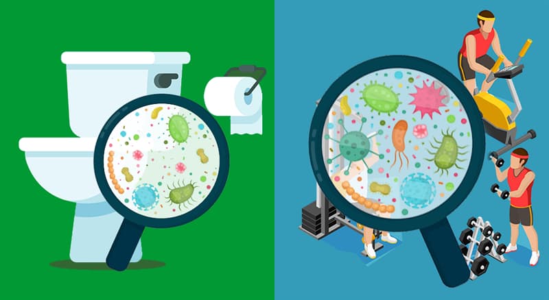 #1 There are more germs in a gym than in a toilet room Science Story: #1 There are more germs in a gym than in a toilet room