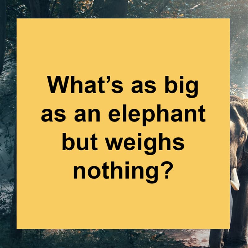 #4 IQ Story: What’s as big as an elephant but weighs nothing?