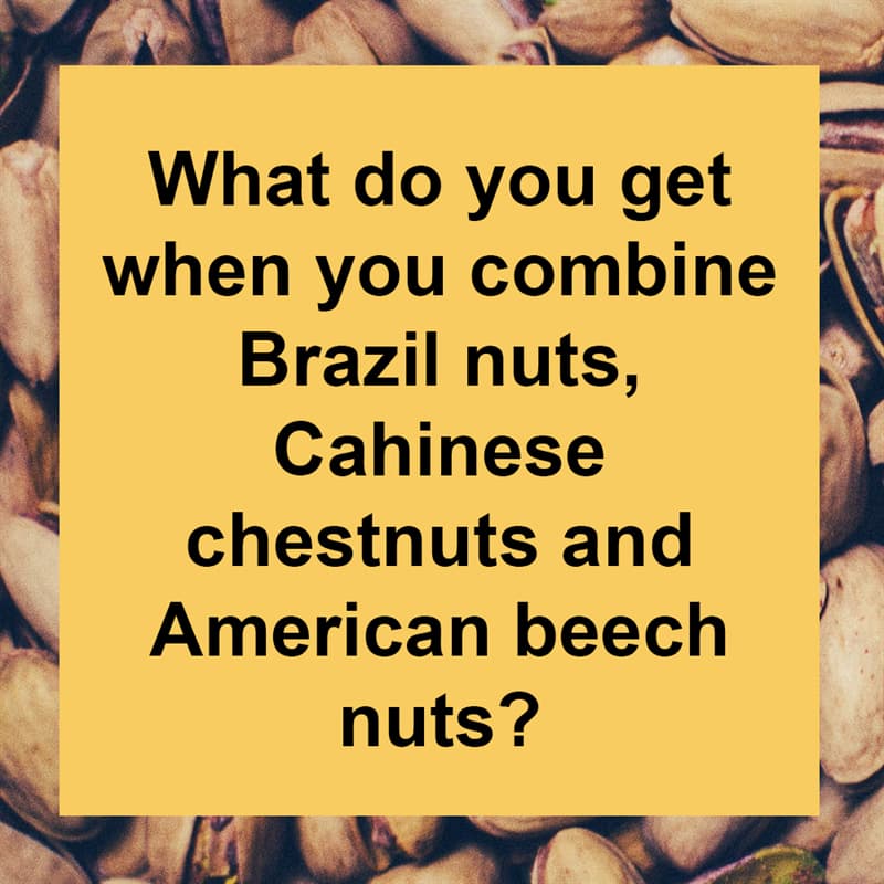 #9 IQ Story: What do you get when you combine Brazil nuts, Chinese chestnuts and American beech nuts?
