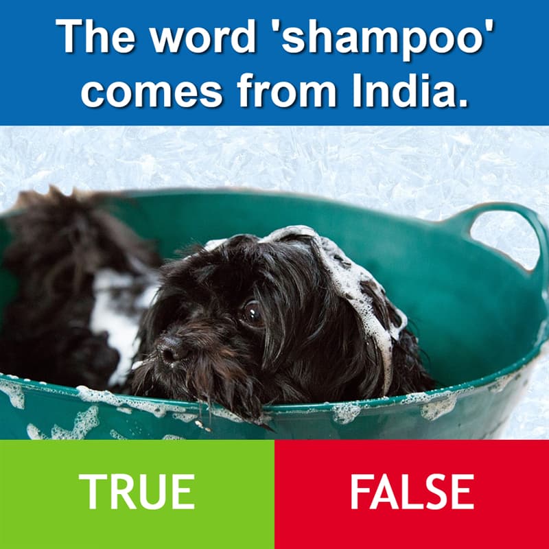 #10 Culture Story: The word 'shampoo' comes from India.