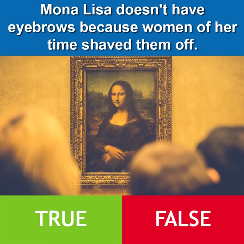 #3 Culture Story: Mona Lisa doesn't have eyebrows because women of her time shaved them off.