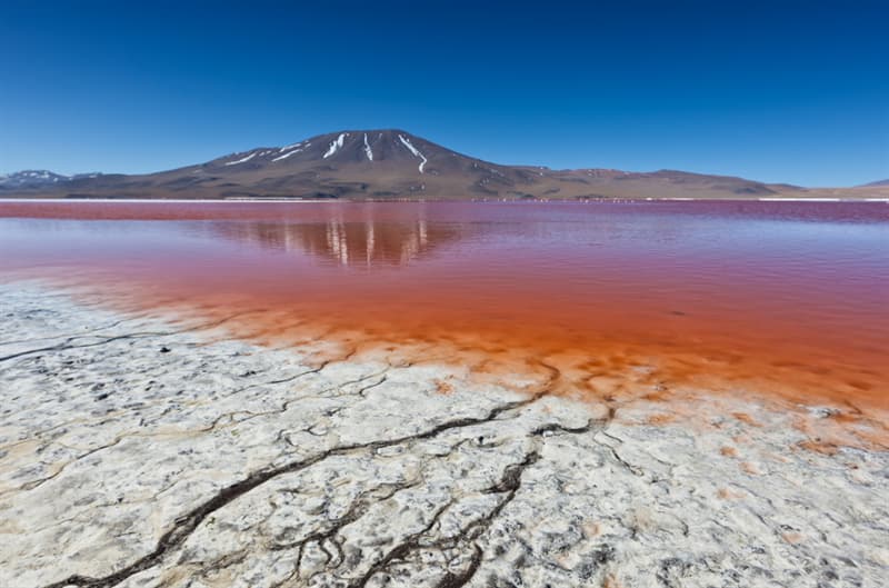 #1 Laguna Colorada, Bolivia Geography Story: #1 Laguna Colorada, Bolivia