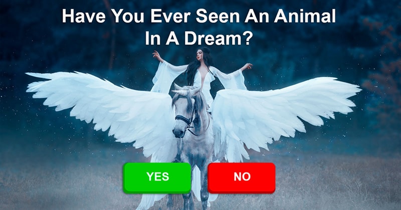 Meaning Of 7 Animals In Dreams | QuizzClub