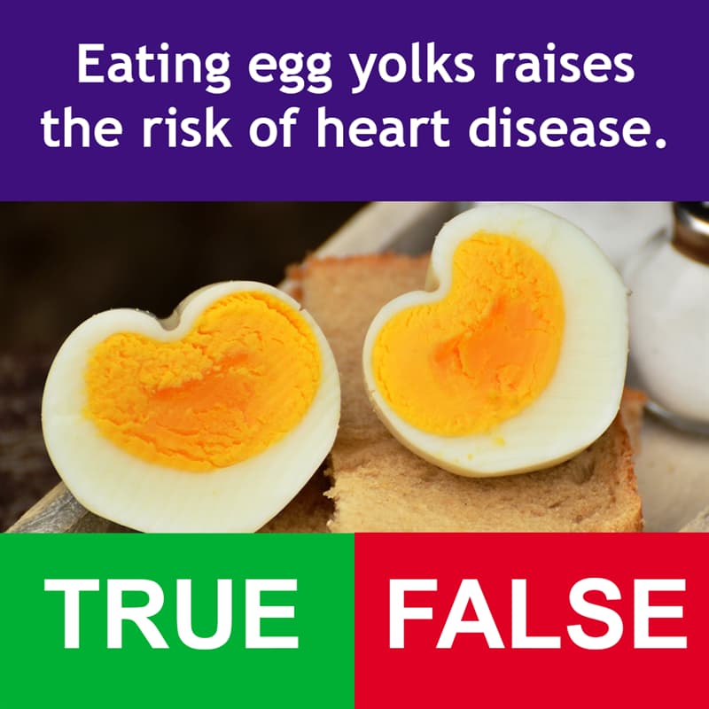 #2 Science Story: Eating egg yolks raises the risk of heart disease.
