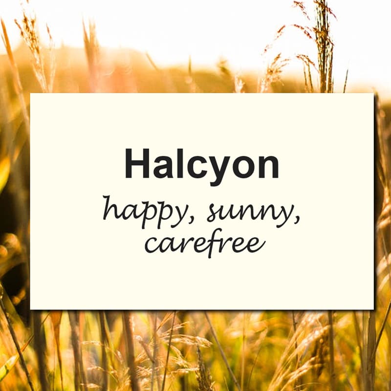 10 Of The Most Beautiful English Words We QuizzClub
