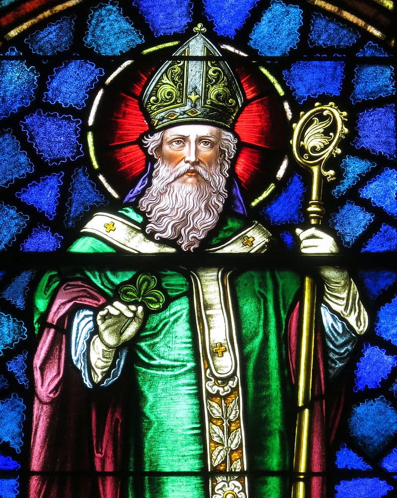 #2 The real-life Saint Patrick WASN'T Irish and DIDN'T drive all the snakes away from the country Culture Story: #2 The real-life Saint Patrick WASN'T Irish and DIDN'T drive all the snakes away from the country