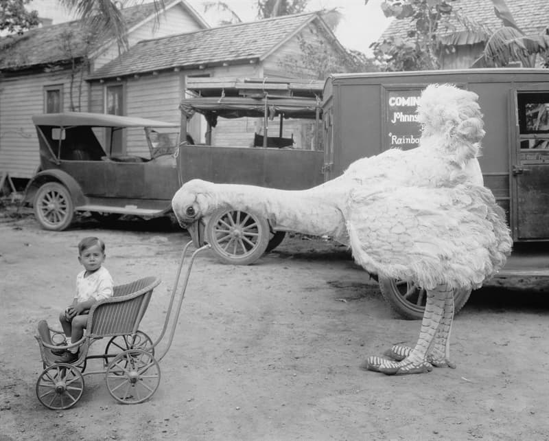 15-vintage-pictures-of-people-doing-weird-and-funny-stuff-14-that-s-how-they-used-to-pick-nannies.jpg