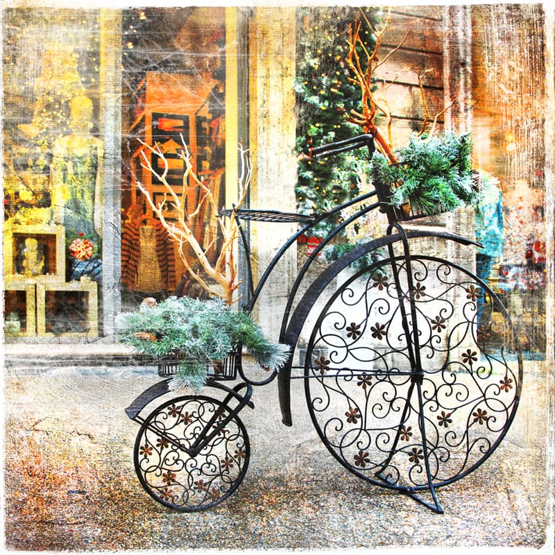 #6 "You never have the wind with you — either it is against you or you’re having a good day." — Daniel Behrman. Nature Story: Riding a bike