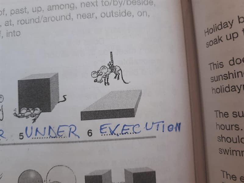 Funny homework stories image