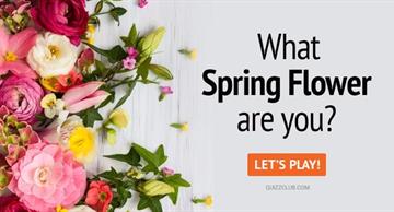 Quiz Test: What Spring Flower Are You?