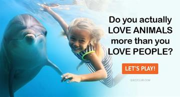 Personality Quiz Test: Do You Actually Love Animals More Than You Love People?