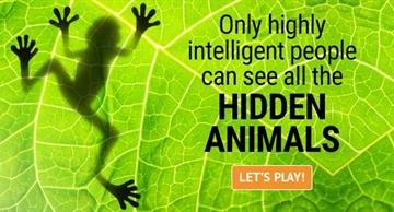 Quiz Test: Only Highly Intelligent People Can See All The Hidden Animals