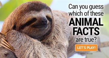 Science Quiz Test: Test: Can you guess which of these animal facts are true?