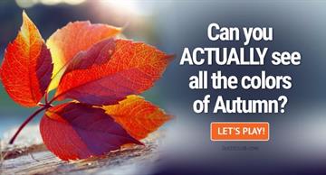 Personality Quiz Test: Can You ACTUALLY See All The Colors Of Autumn?