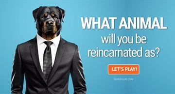 Quiz Test: What Animal Will You Be Reincarnated As?