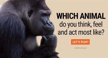 Personality Quiz Test: Which Animal Do You Think, Feel And Act Most Like?