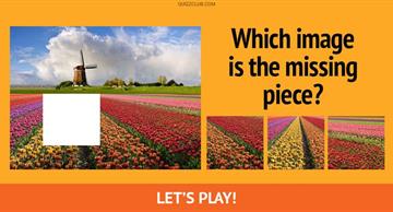 Personality Quiz Test: Only 1 In 8 Highly Perceptive People Can Pass This Test