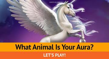 Personality Quiz Test: What Animal Is Your Aura?