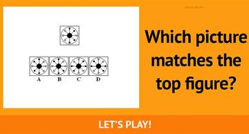 Quiz Test: Take This Spatial-Based Quiz To See What Career Is Perfect For You