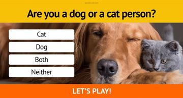Personality Quiz Test: We Can Guess Your Level Of Education Based On 9 Random Questions