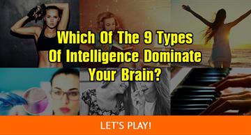Personality Quiz Test: Which Of The 9 Types Of Intelligence Dominate Your Brain?