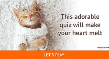 Quiz Test: Choose The Cutest Sweater-Clad Critters And We'll Recommend An Animal-Centric Movie To Cozy Up To!