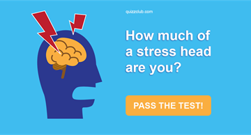 Personality Quiz Test: How Much Of A Stress Head Are You?