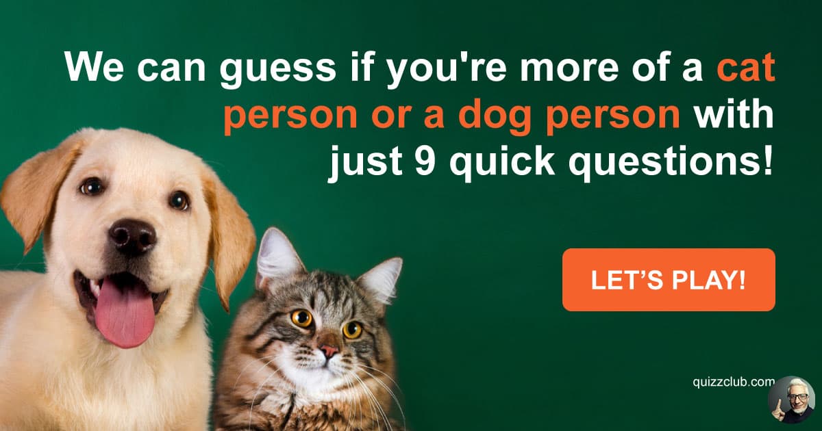 Are You More Of A Cat Or Dog Person CatWalls