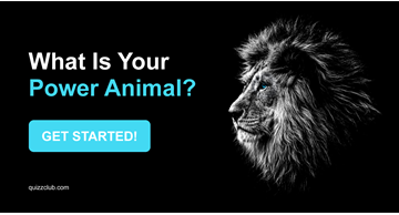 Quiz Test: What Is Your Power Animal?