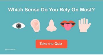 Personality Quiz Test: Which Sense Do You Rely On Most?