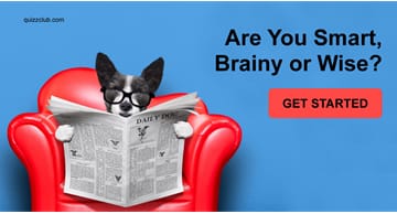 Personality Quiz Test: Are You Smart, Brainy or Wise?
