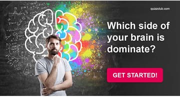 Quiz Test: Which Side Of Your Brain Is Dominate?