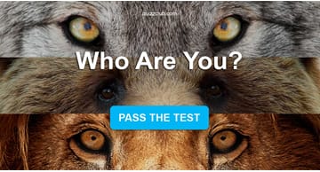 Personality Quiz Test: Are You A Wolf, Bear, or Lion?