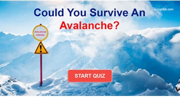 Nature Quiz Test: Could You Survive An Avalanche?