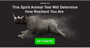 Personality Quiz Test: This Spirit Animal Test Will Determine How Resilient You Are