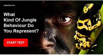 Personality Quiz Test: What Kind Of Jungle Behaviour Do You Represent?