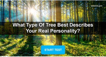 Nature Quiz Test: What Type of Tree Best Describes Your Real Personality?